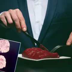Mroczne wizje choroby Kuru w Polsce. Przekrój mózgu obok surowego mięsa, symbolizujące zagrożenie.