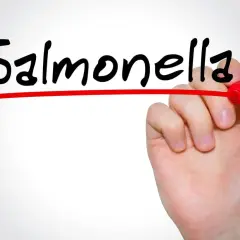 Ręka pisze markerem słowo "Salmonella", podkreślając problem salmonelli u dzieci.
