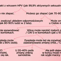 Schemat przebiegu infekcji HPV. Badanie HPV jest kluczowe, by monitorować zmiany i zapobiegać rakowi szyjki macicy.