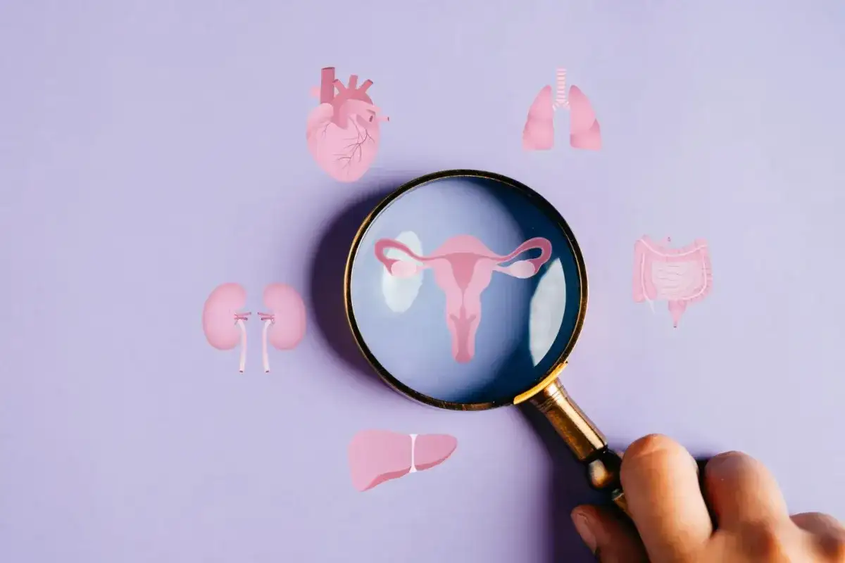 USG w diagnostyce PCOS - jak czytać wynik badania?