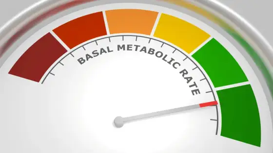 Badania metaboliczne - co zbadać na początku?